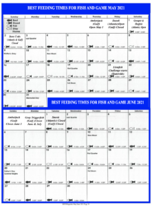 Best Times & Tides - Venetian Bay Town & Country Club New Smyrna Beach FL